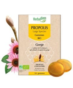 Gommes Propolis